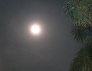 malam minggu: akankah engkau disana memandang bulan yang sama?